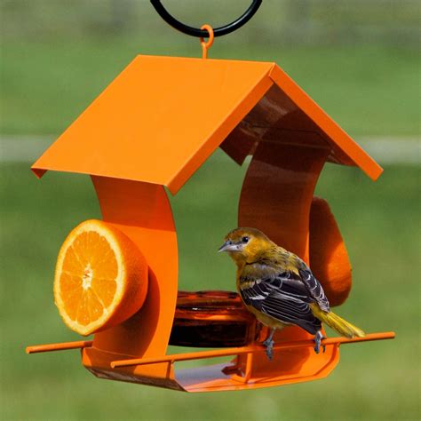 orioles bird feeders